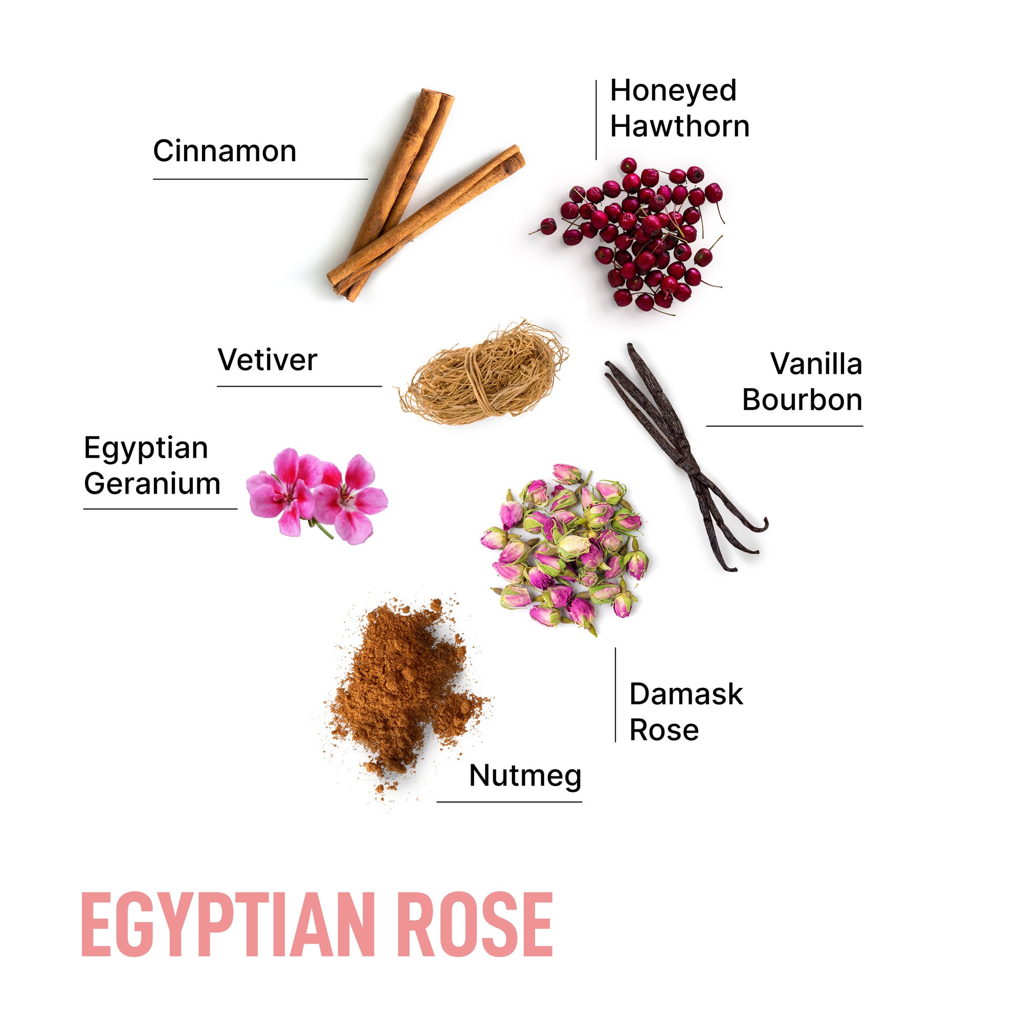 Egyptian_Rose_Ingredients
