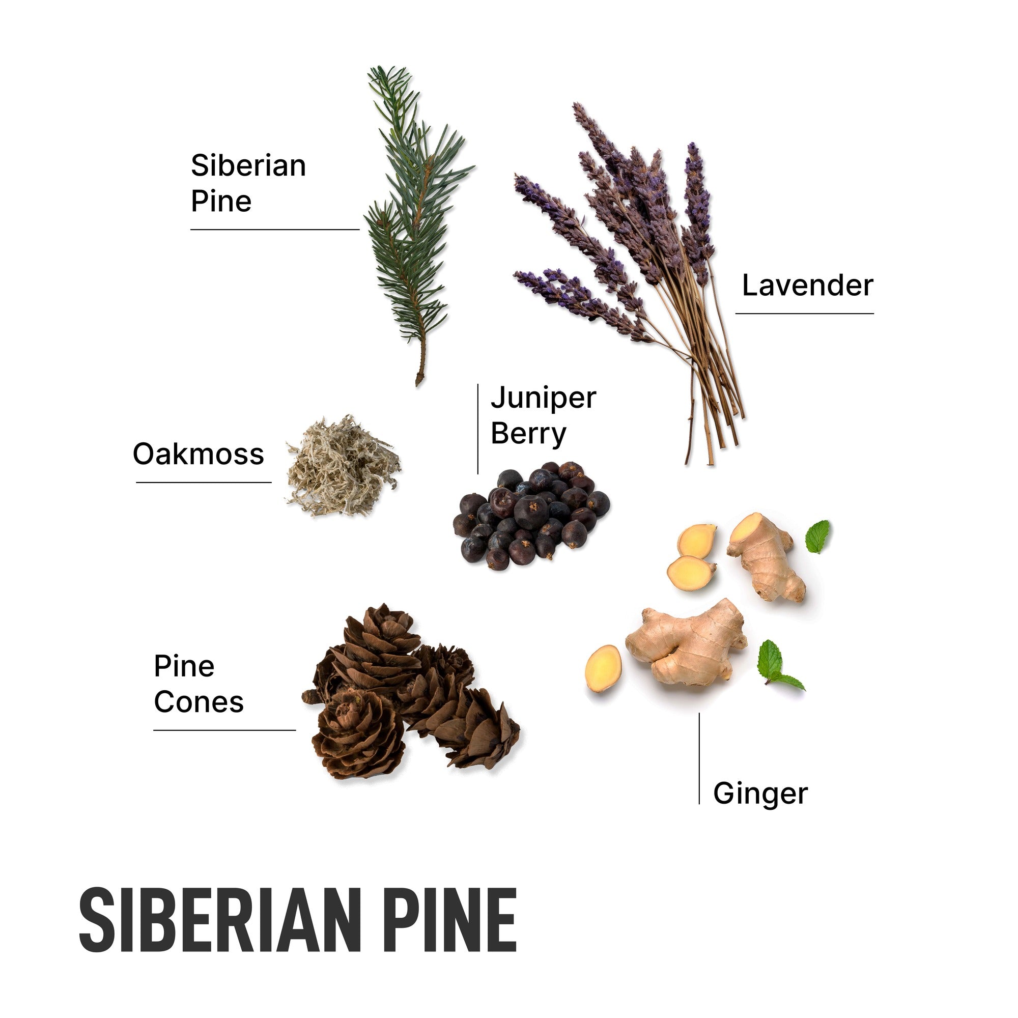Siberian_Pine_Ingredients