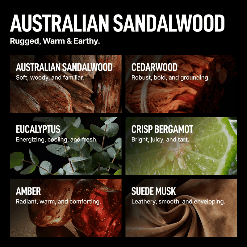 Laundry Sauce - Intro Offer - Australian Sandalwood - 20