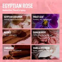 Laundry Sauce - Intro Offer - Egyptian Rose - 5