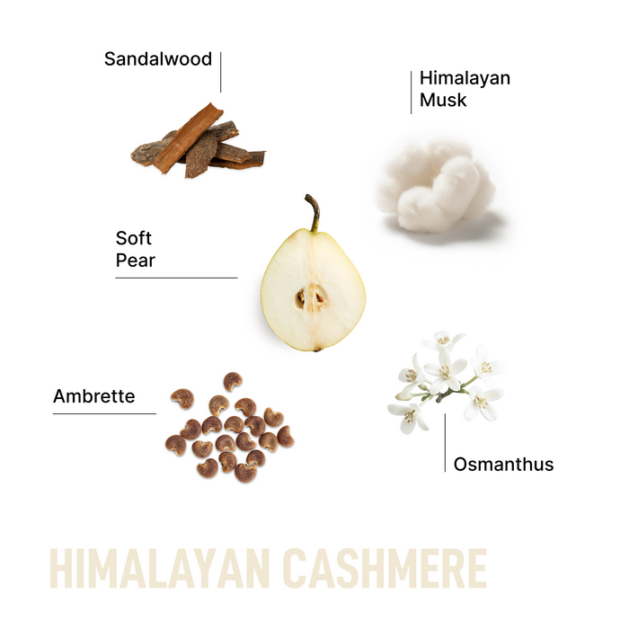 Product Image: The Signature Package - Himalayan Cashmere