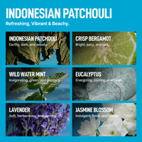 Laundry Sauce - Intro Offer - Indonesian Patchouli - 14