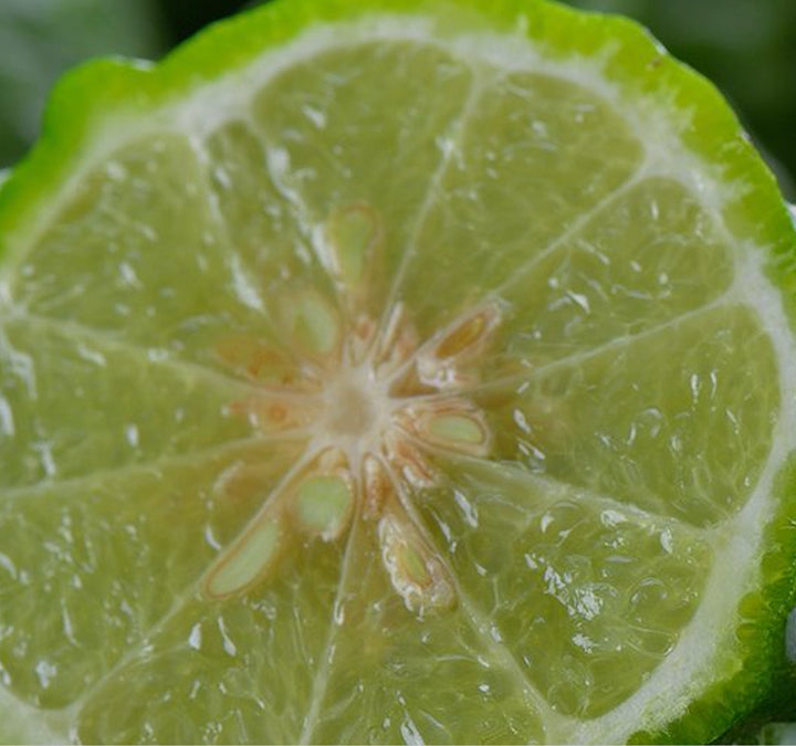 About image - Crisp Bergamot