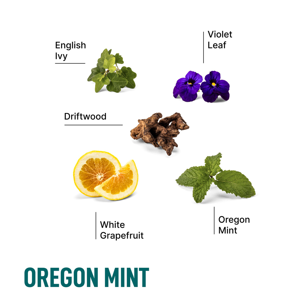 Oregon Mint