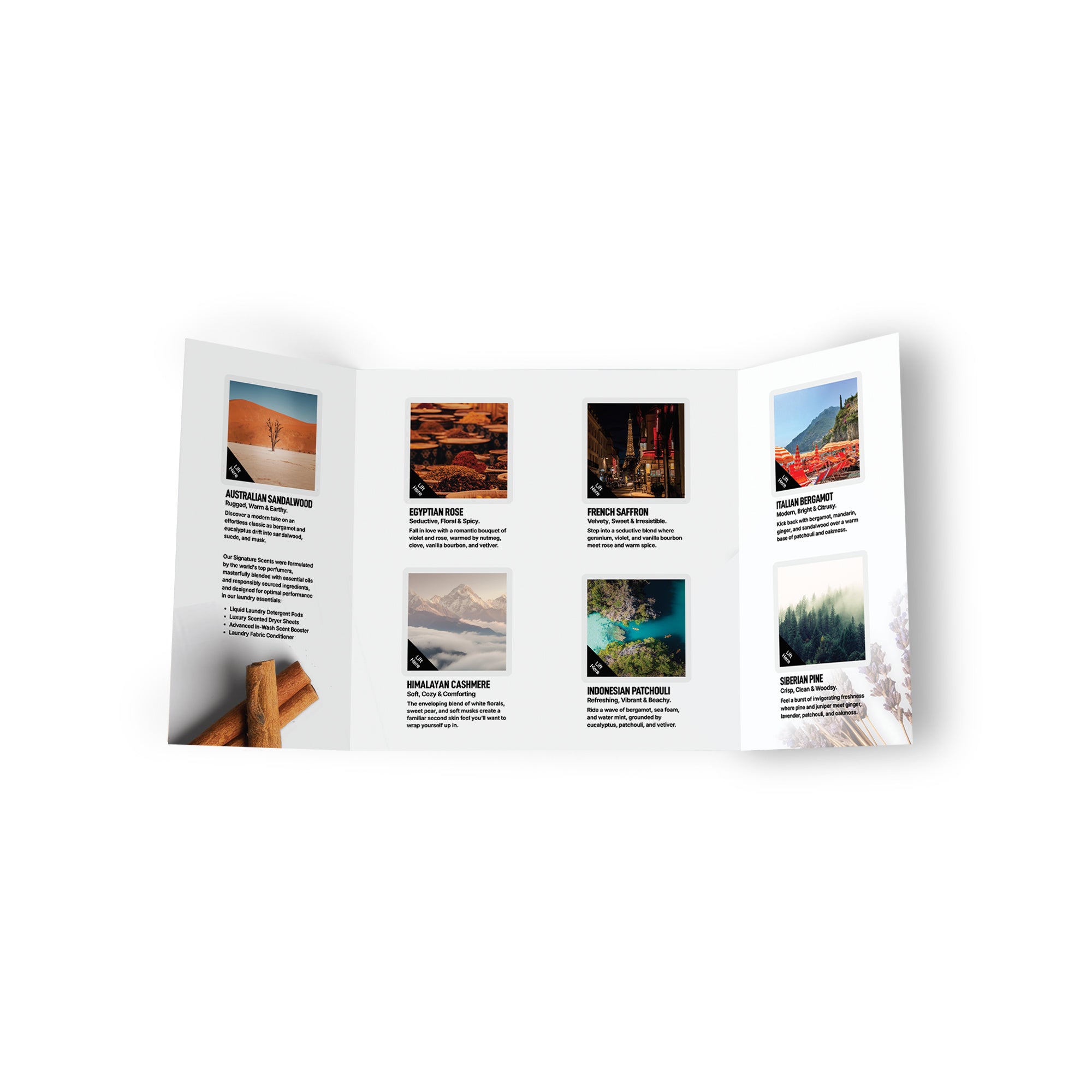Scent Brochure 7-Scent